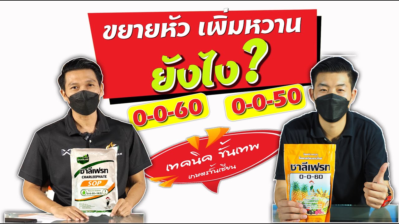 0-0-60 และ 0-0-50 เทคนิค  ขยายหัว  เพิ่มหวาน