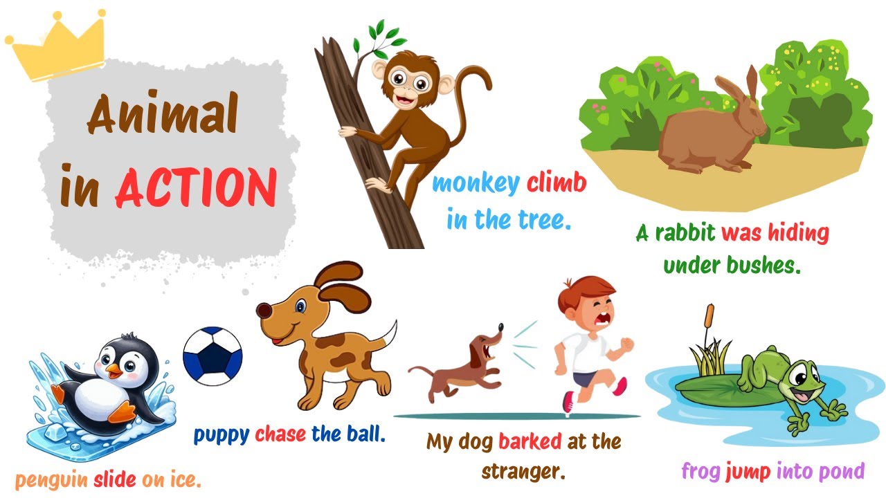 Animal in ACTION | ANIMALS Vocabulary In English