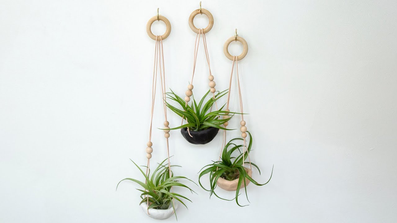 How to Make a Clay Air Plant Holder | Sunset