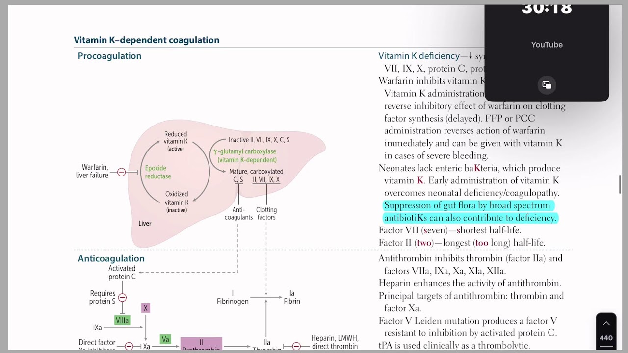The Midnight Lounge: Relaxed USMLE Reading (No Cam)
