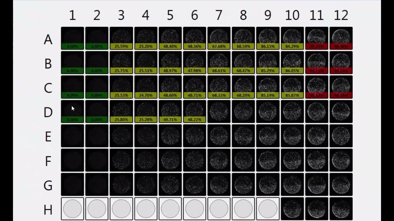 Celigo GFP Transfection Hoechst