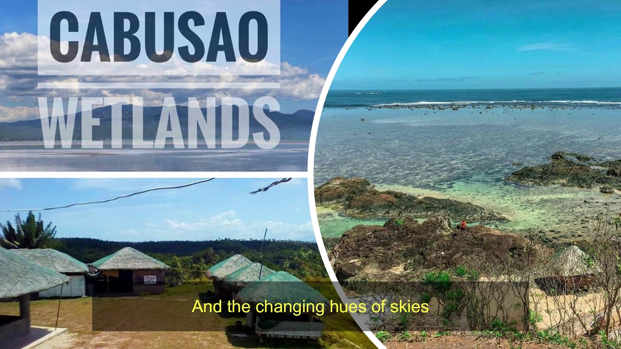 Camarines Sur March