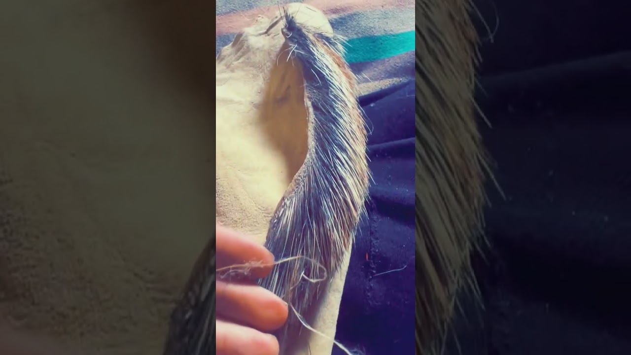 Making a porcupine tail hairbrush