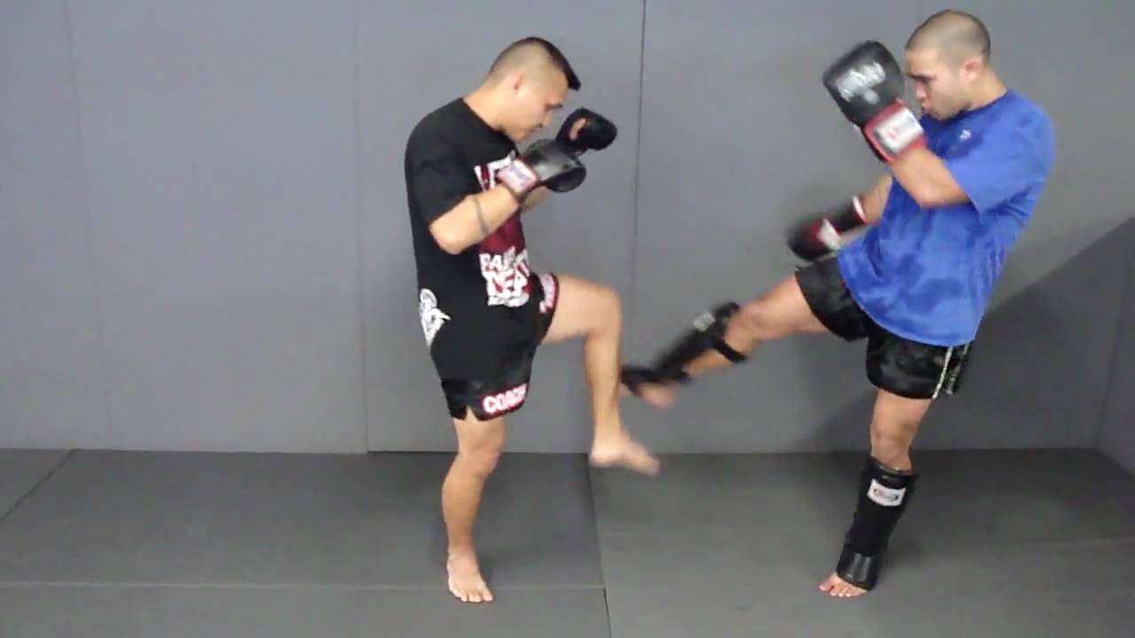 Leg Kick Defense techniques