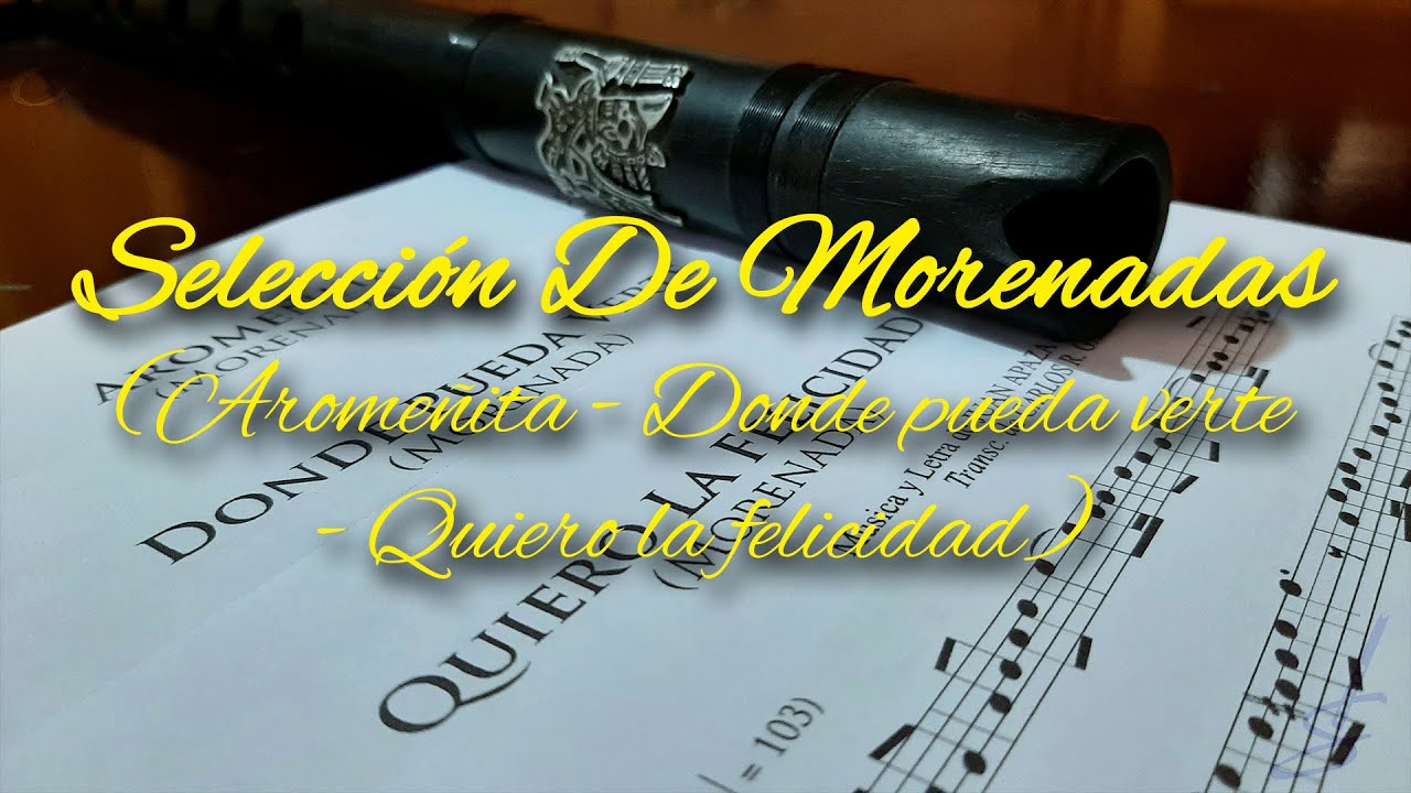 AROMEÑITA, DONDE PUEDA VERTE, QUIERO LA FELICIDAD - Tutorial para quena #10