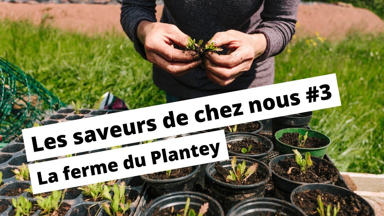 Les saveurs de chez nous #3 : La ferme du Plantey