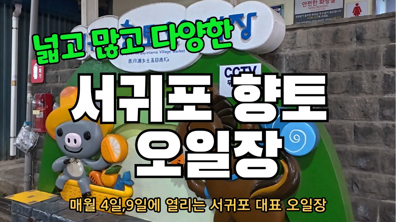 제주 서귀포 향토 오일장 #전통시장 #제주도 #서귀포시장 #서귀포맛집