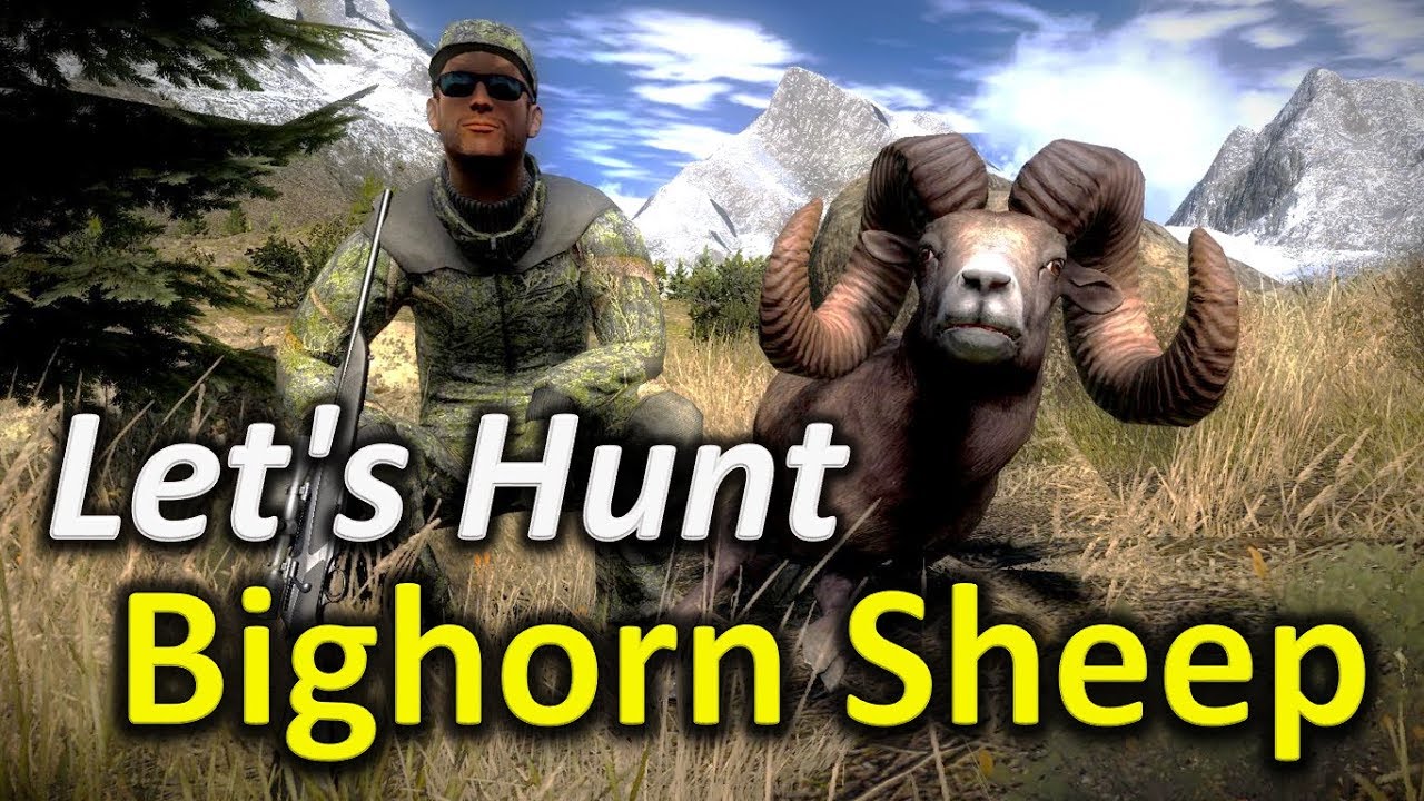 Let's Hunt BIGHORN SHEEP - theHunter Classic