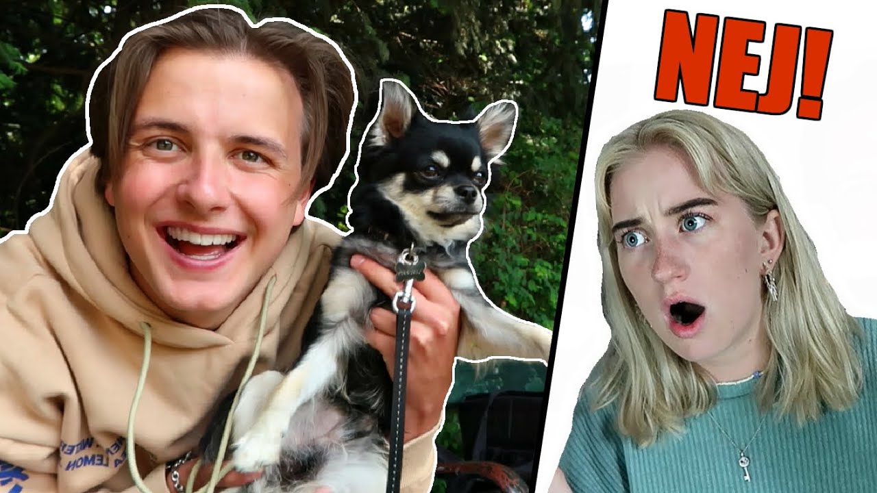 Jeg STJ&AElig;LER Loui fra JOS!! - Vlog M. Josefine Simone