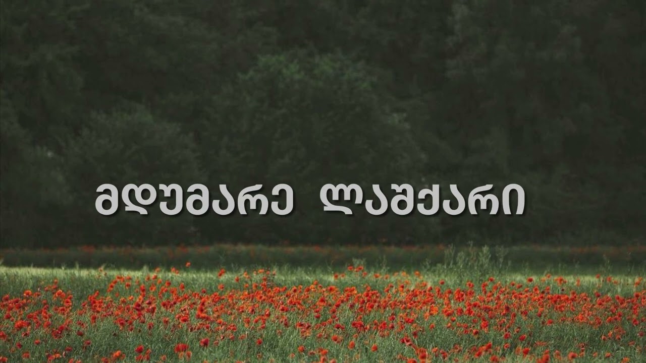მდუმარე ლაშქარი - ლელა ნაყეური