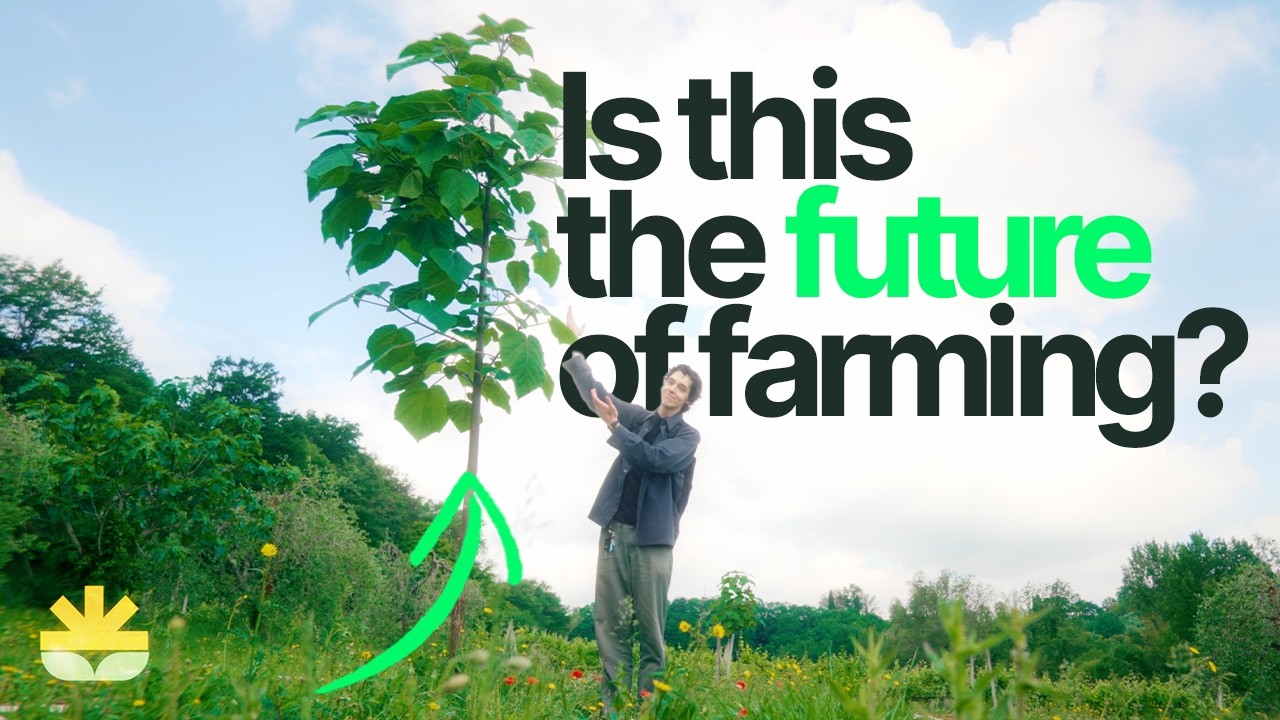 What is Agroforestry? – The Future of Farming