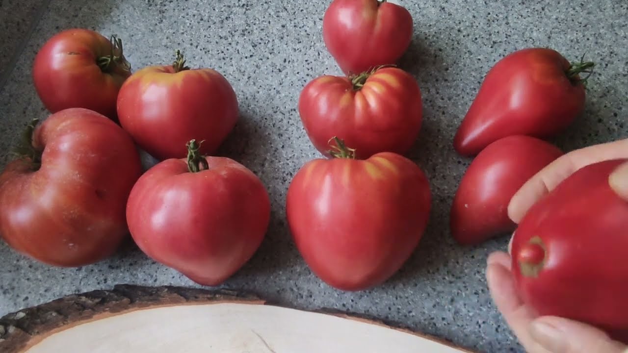 🍅Tomaten nach Sorten🍅der Vergleich, 3 Sorten:🍅Adonis, Rosa Herz, Rosa Kutsche(Розовая тележка)