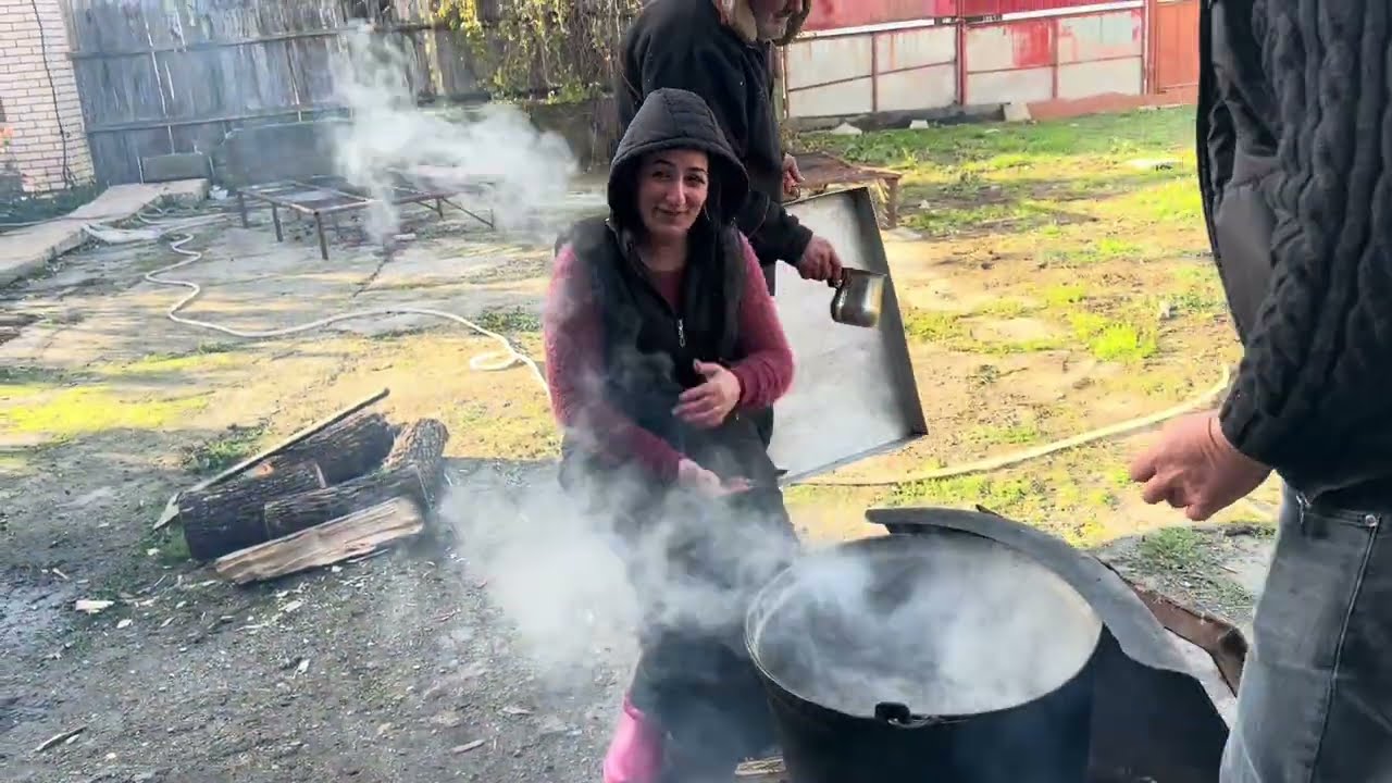 Ce face lumină  cu porci !