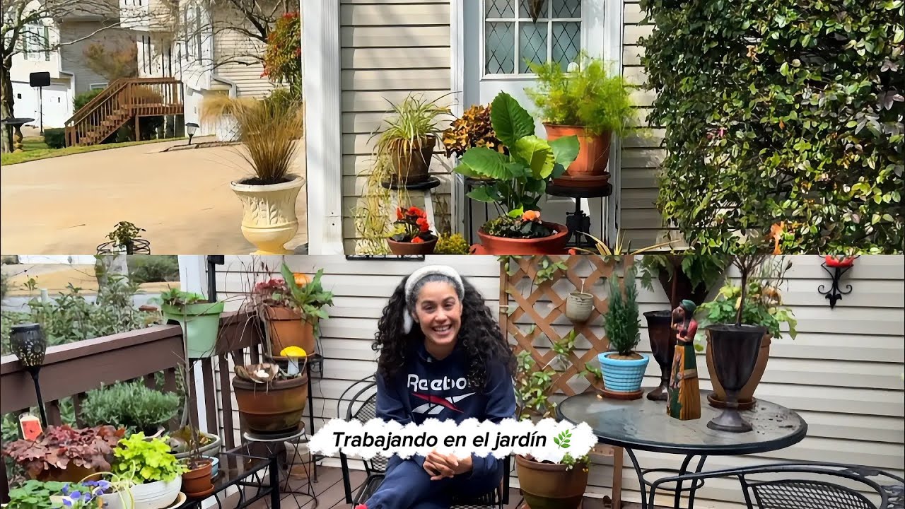 Transformando espacios en pequeños oasis 🌿 De Lowe’s al jardín