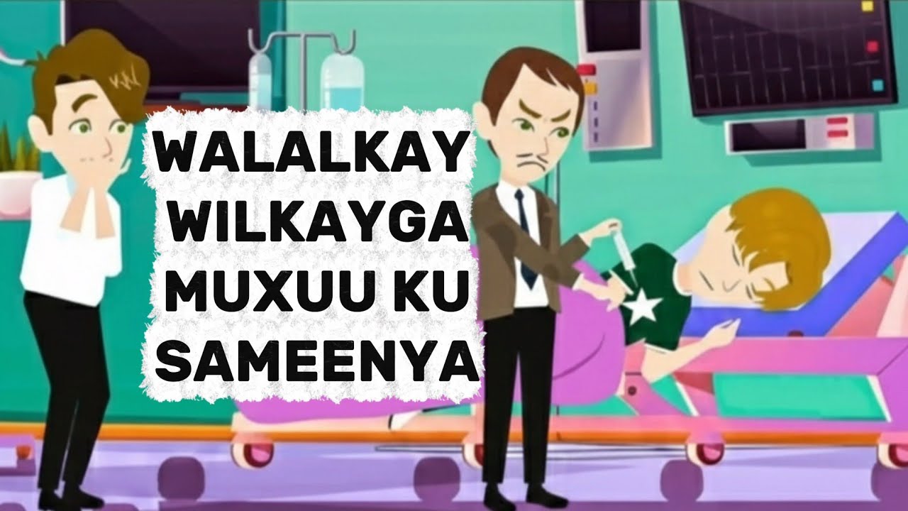 WILKAYGA NOLASHIISA HALIS BAY KU JIRTAA WAXAANA USABABA WALAALKAY|SHEEKO|@SomaliKartoonofficial 