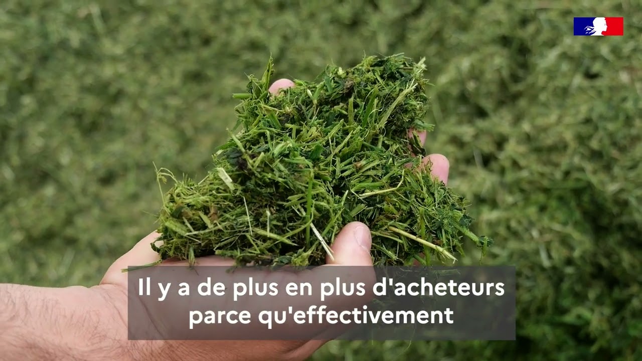 Protéi-NA - Production de luzerne déshydratée par la coopérative Grasasa