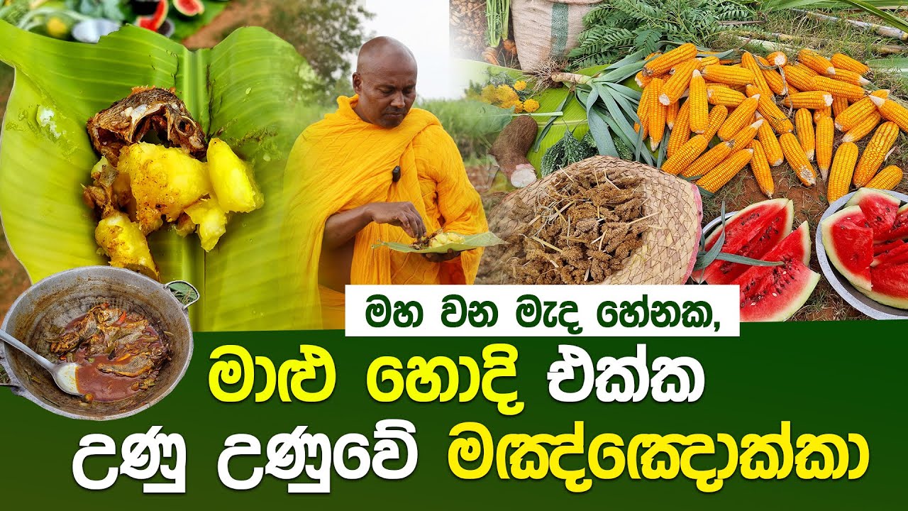 මාළු හොදි එක්ක උණු උණුවේ මඤ්ඤොක්කා #umandawa