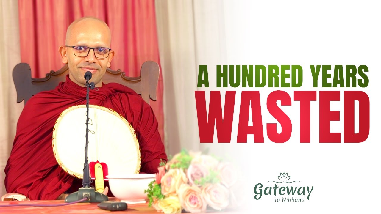 A hundred years wasted