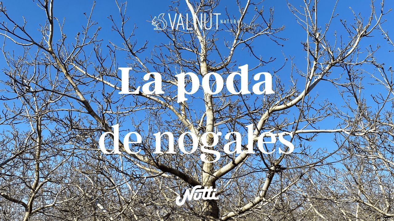 Poda de Nogales