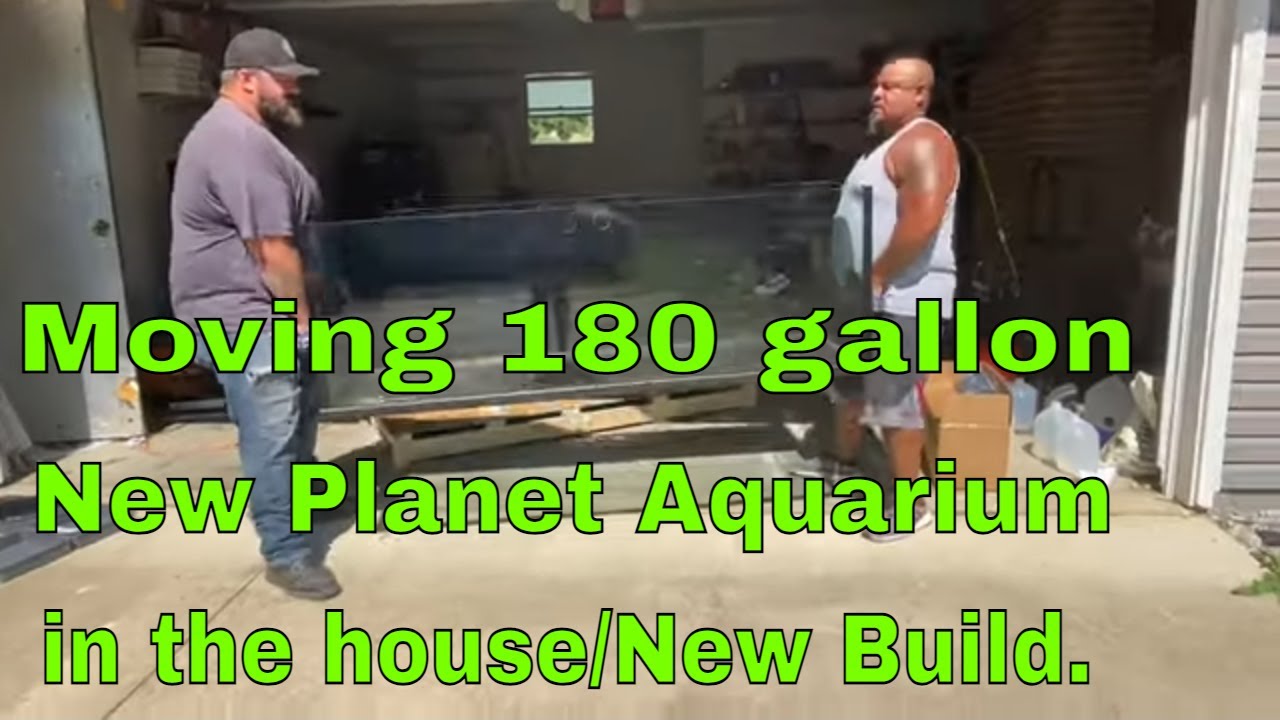 Moving 180 gallon New Planet Aquarium in the house/New Build