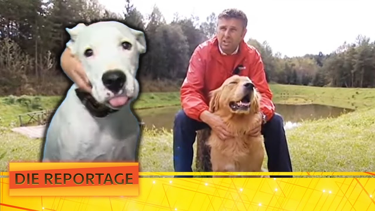 Tumor beim eigenen Haustier? Tierpsychologen & Hundeflüsterer 🐶 | 2/2 | Die Reportage | ATV