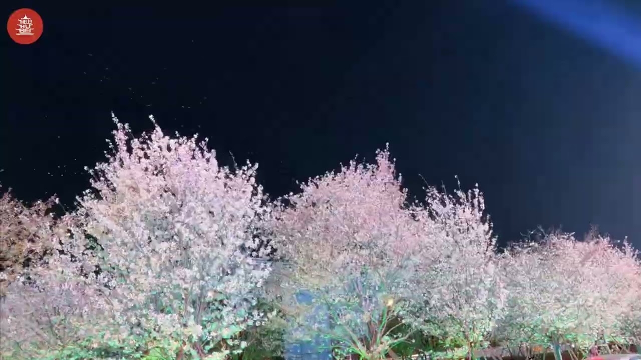 Cyberpunk cherry blossom rain in Wuhan optics vall