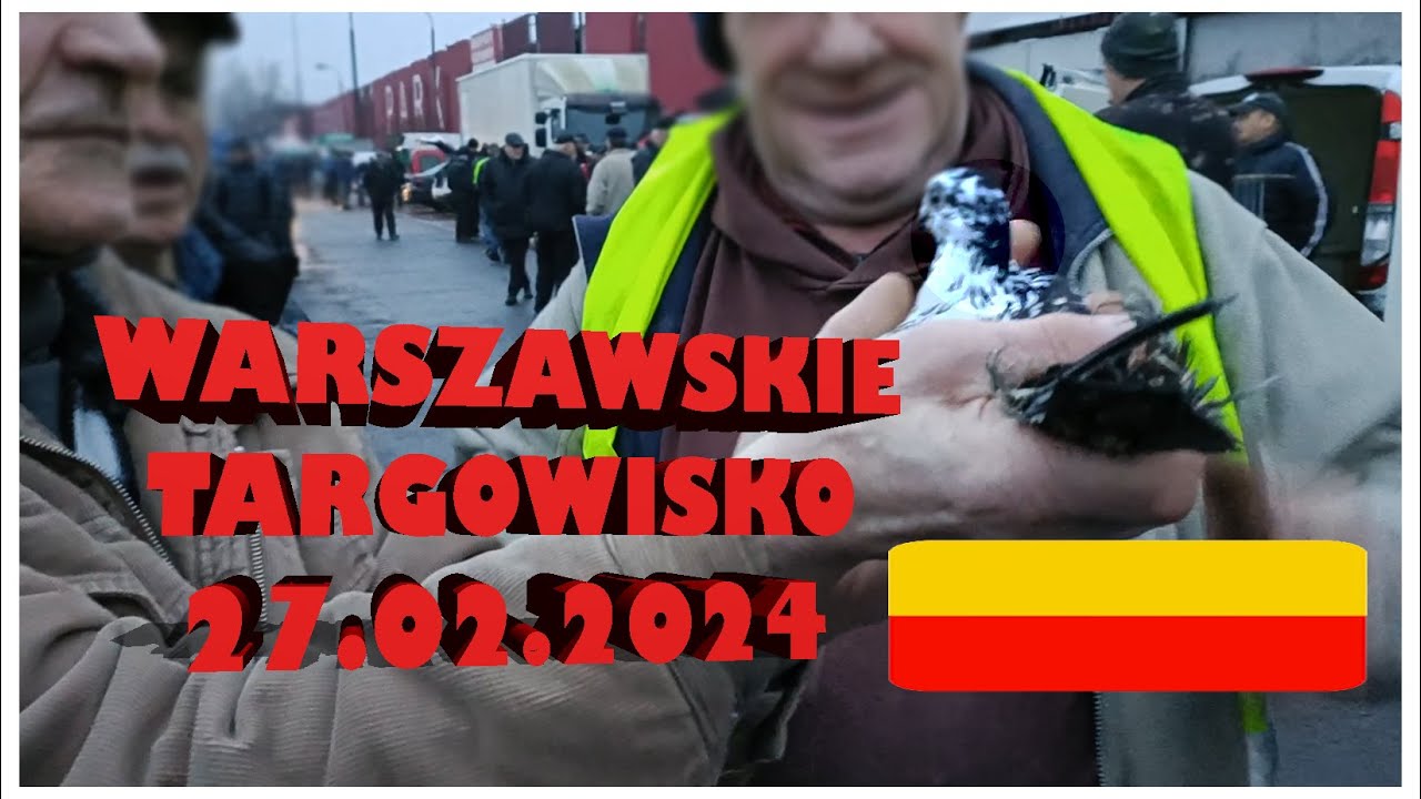 17.02.2024 r. Targ Gołębi w Warszawie - 