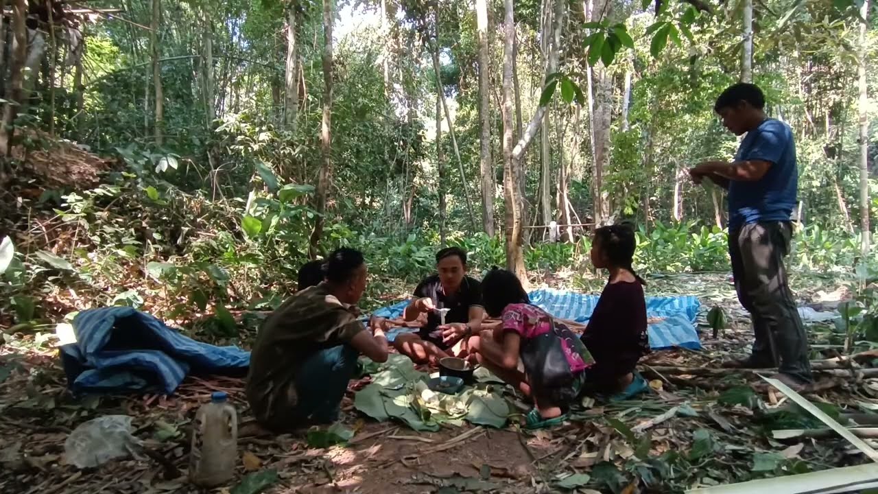กินข้าวกับครอบครัวคนป่าก่อนกลับบ้าน คนป่า ตองเหลือง ຄົນປ່າ ຕອງເຫຼືອງ bn saolao wild man 