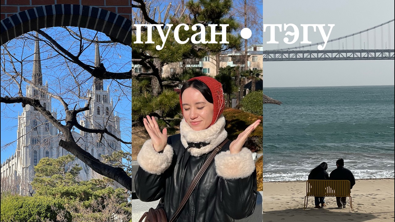 влог: южная корея • пусан • тэгу