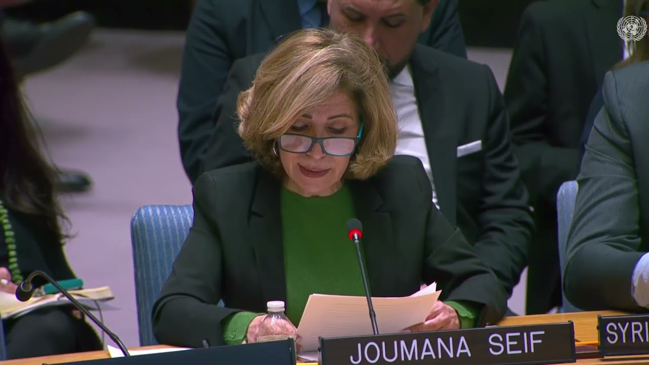 Speech by the SWPM member Joumana Seif, at the Security Council