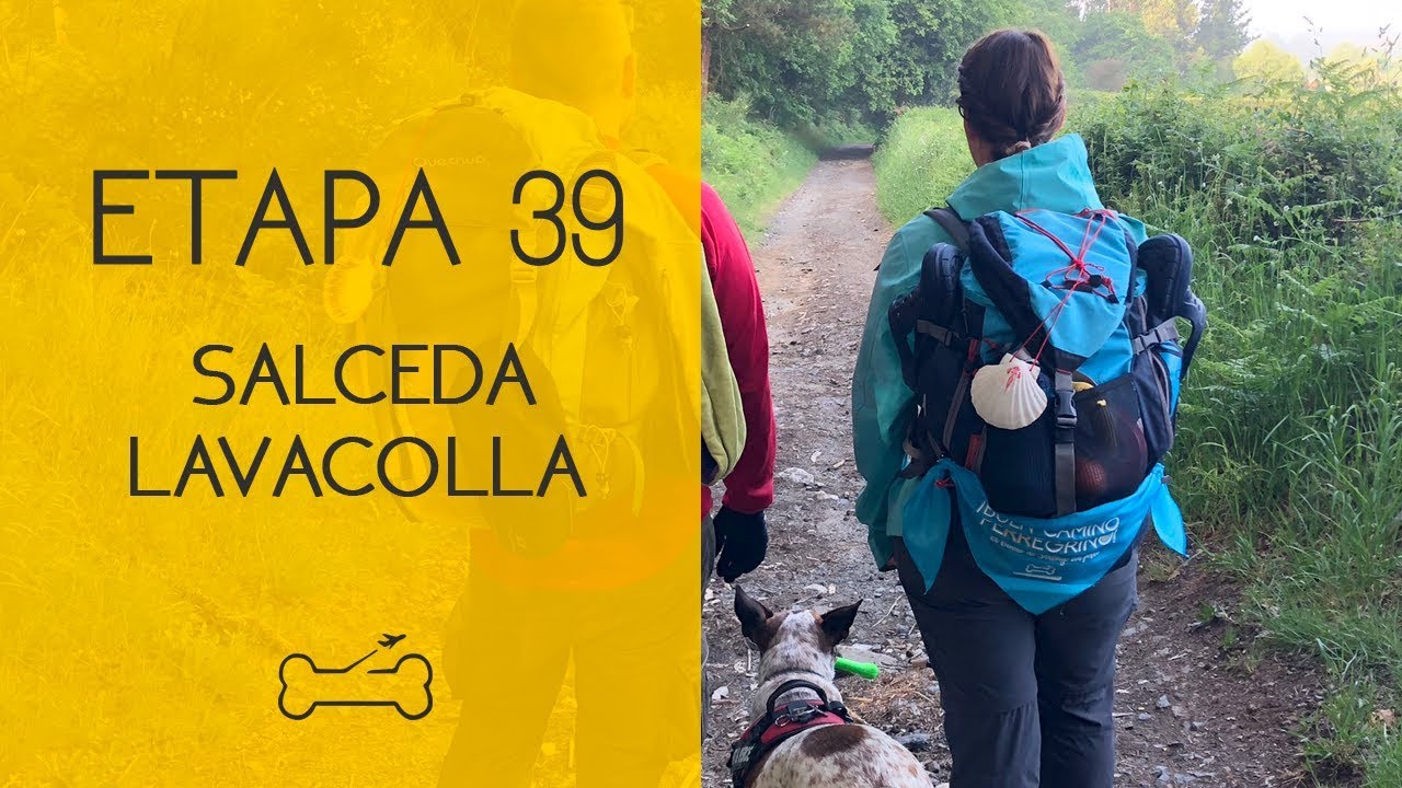 ETAPA 39: SALCEDA A LAVACOLLA | Camino de Santiago con perro