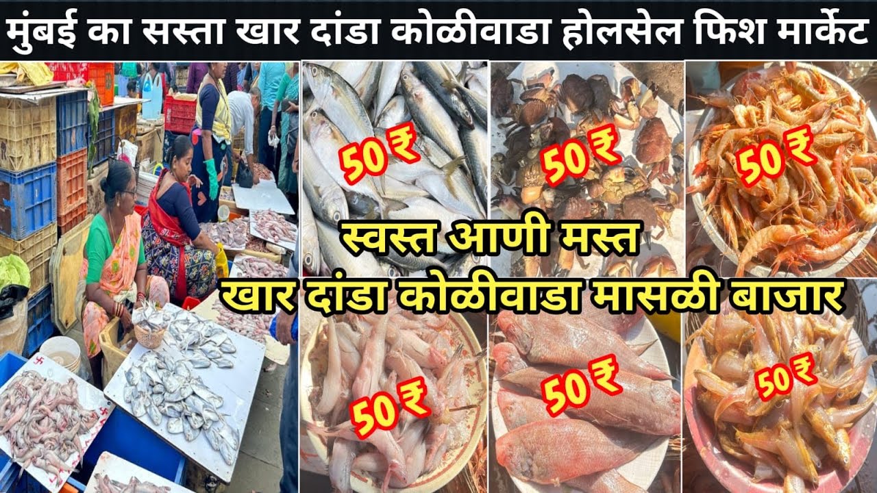 Khar Danda Koliwada Fish Market | Exploring Khar Dand’s Busiest Fish Market | Wholesale Fish Market
