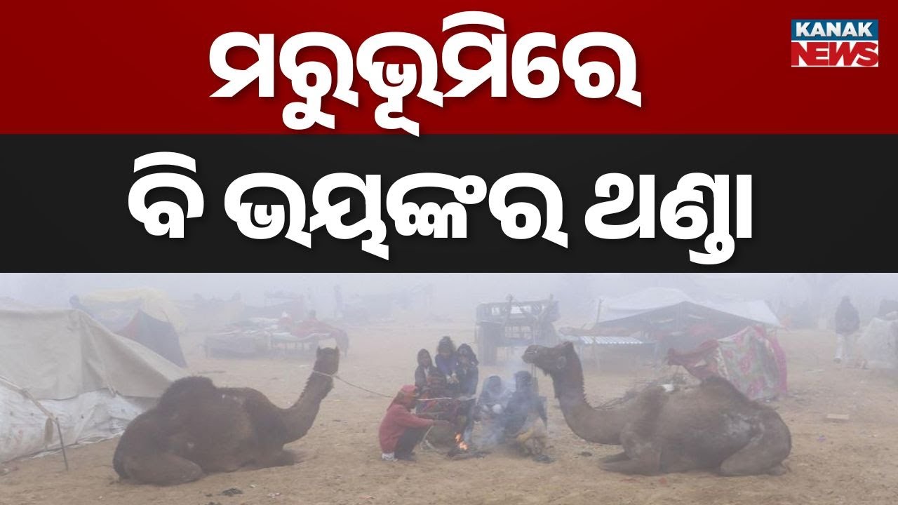 North India Cold Wave Alert | Rajasthan Minus Temperature, Fog & Disrupted Life