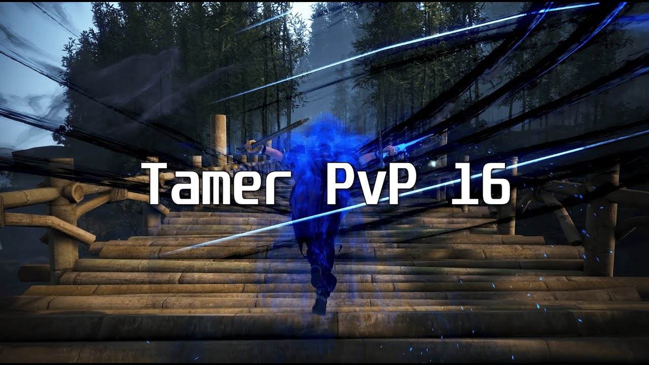 BDO Tamer PVP 16