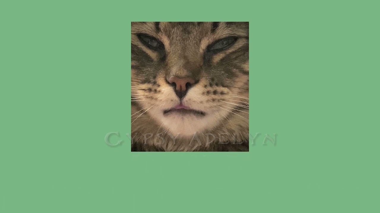 Some of my favorite songs, but sped up || Ik this isn't what I usually post :,) || Read desc