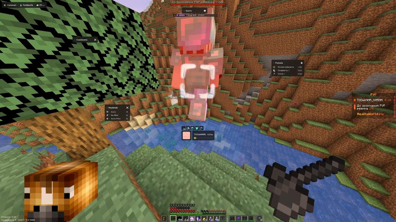 ГРИФ В НОВОМ 2026 ГОДУ НА REALLYWORLD С ЧИТОМ CATLAVAN NEW 1.16.5