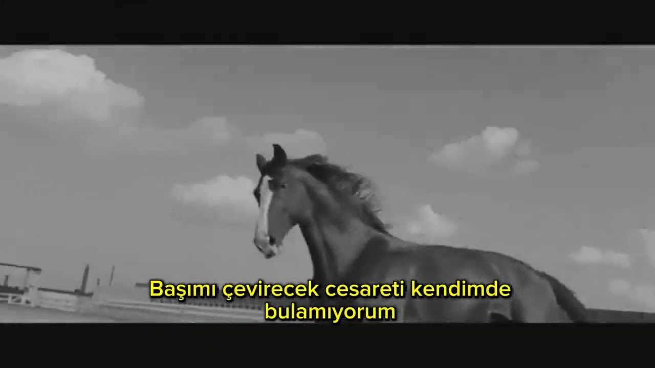 Sefa Mutlu - Kimsesiz Adımlar 