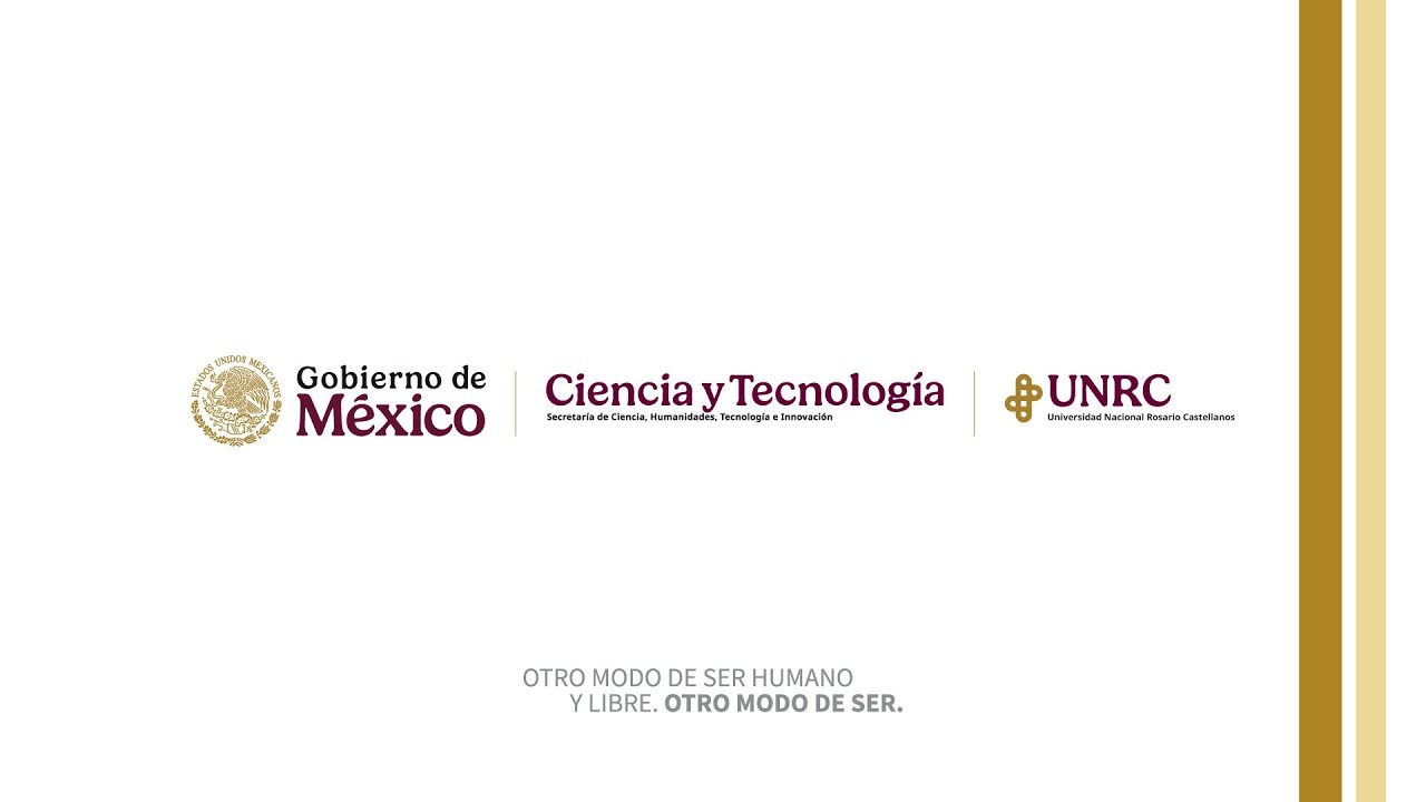 Curso de inducción: El papel de los universitarios de la Universidad Nacional Rosario Castellanos