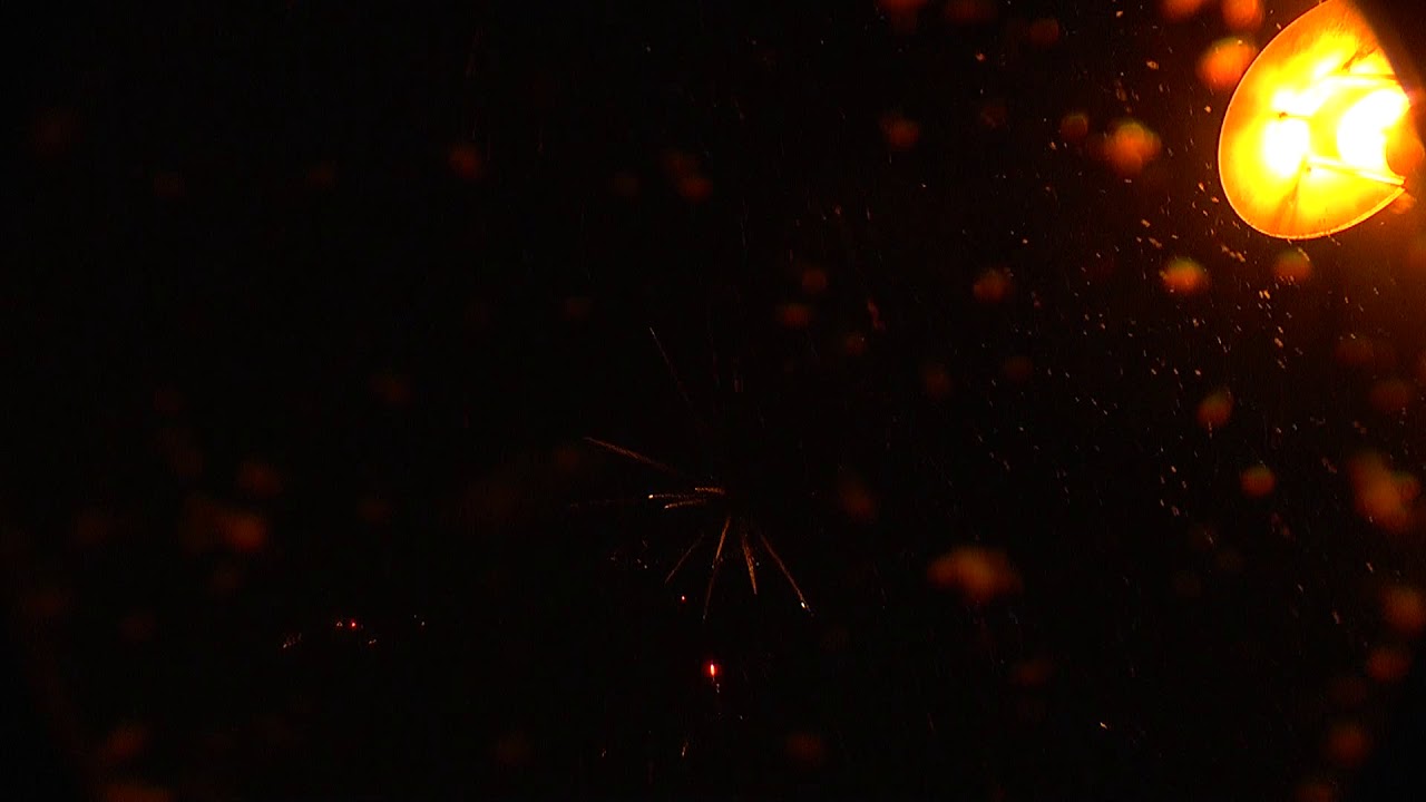 07 Positionen 39   50 Vorschießen PyrotechniX 2017