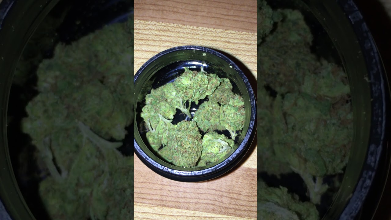 CANADIANS MARIJUANA KUSH COLD CREEK KUSH