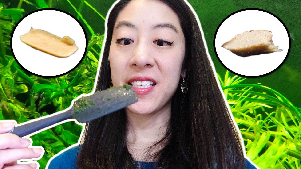 DIY Fish Food Vs. Instant Gel Food – Is It Worth It?