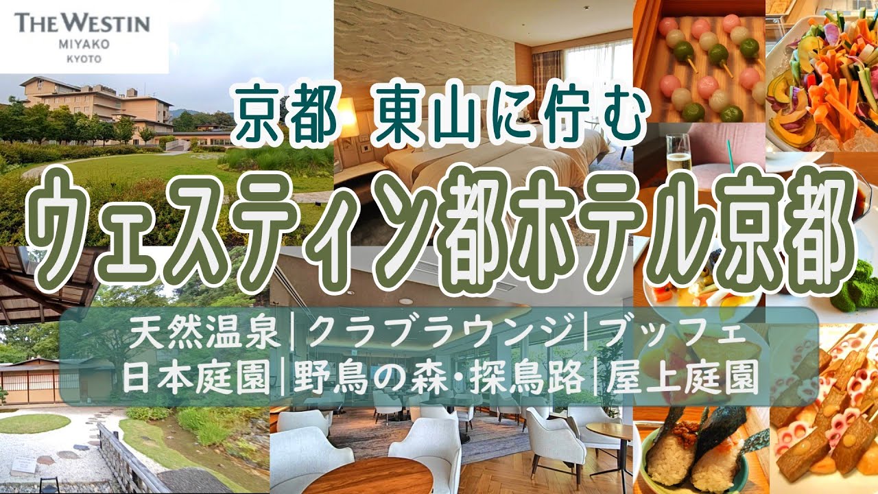 【京都】東山に佇む ウェスティン都ホテル京都 のんびりホテルステイ 宿泊Vlog  天然温泉 | クラブラウンジ | ブッフェ | 日本庭園 | 野鳥の森･探鳥路 | 屋上庭園など