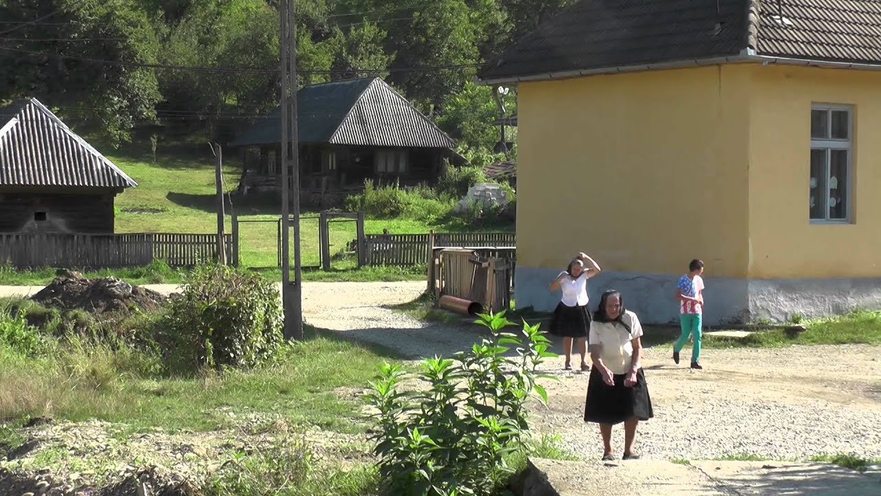 Duminică în Valea Stejarului