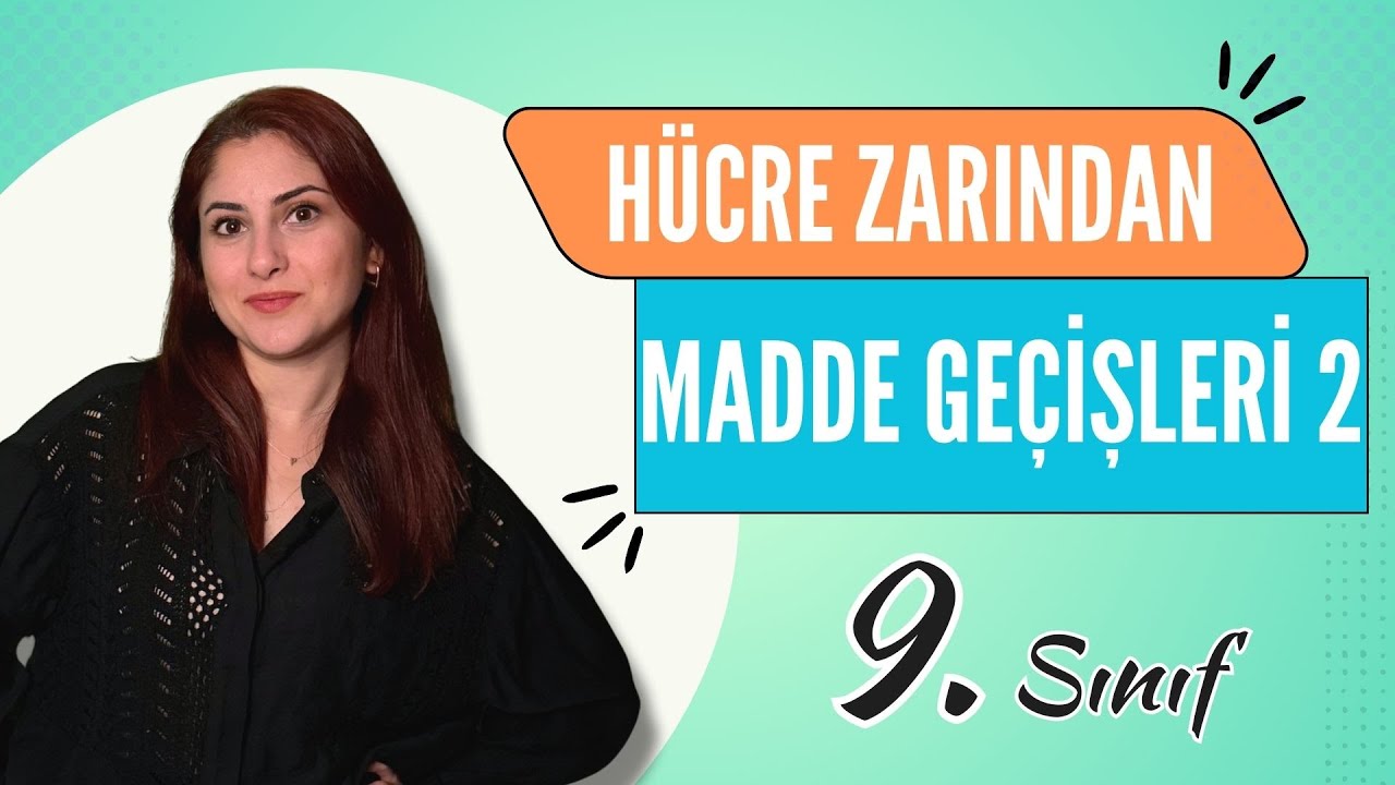 13) HÜCRE ZARINDAN MADDE GEÇİŞLERİ 2 | 9. SINIF | TYT BİYOLOJİ DERS NOTLARI | 2024