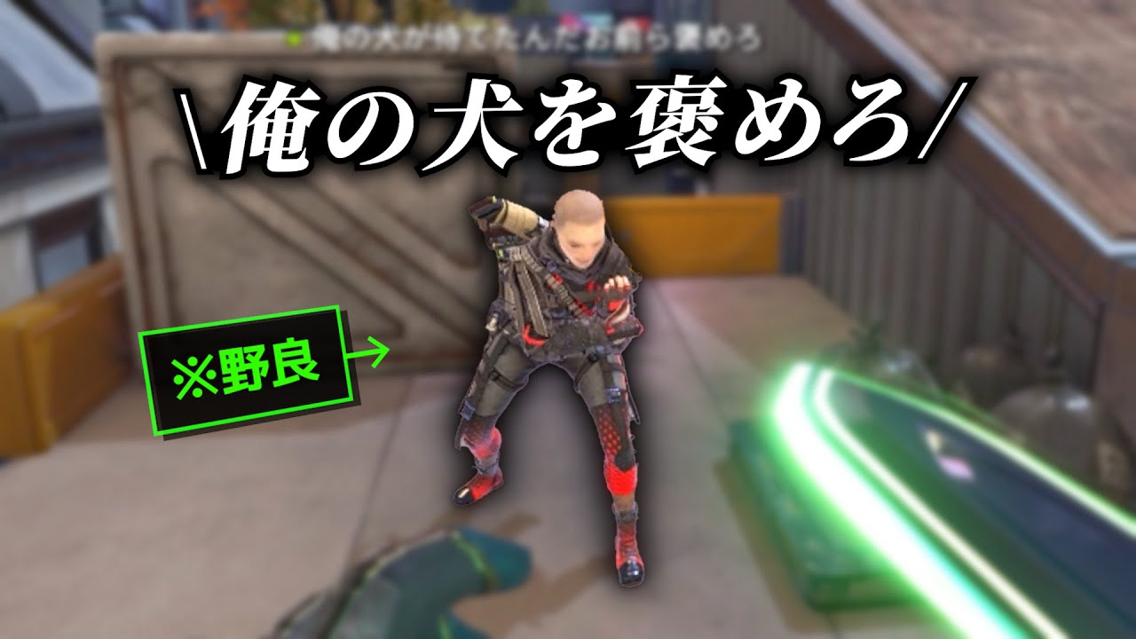 なぜかペットの犬を褒めて欲しい可愛い野良さん【APEX】