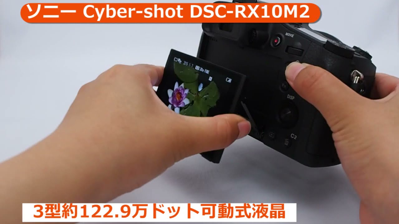 ソニー Cyber-shot DSC-RX10M2 （カメラのキタムラ動画_SONY）
