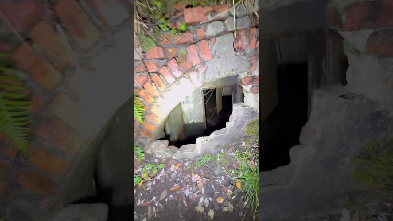 JAHRZEHNTELANG VERSCHLOSSEN ⛔️ Wir finden alten WELTKRIEGSBUNKER 😱#lostplaces #lostplace #bunker