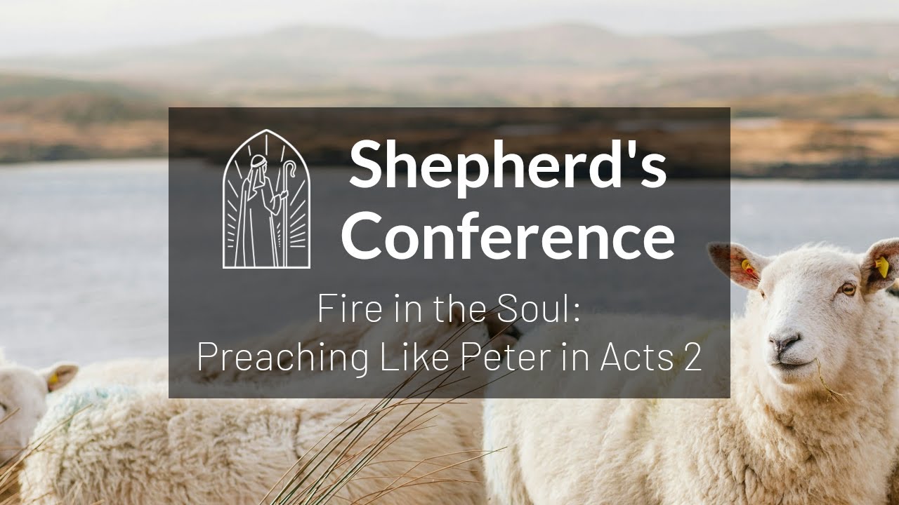 Fire in the Soul: Preaching Like Peter in Acts 2 - [Steve Swartz]