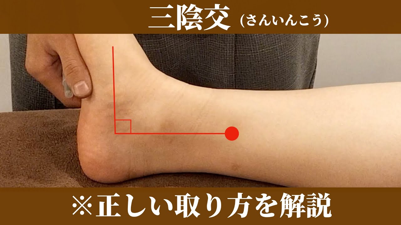 【鍼灸師が解説】三陰交の正しい取り方／ポイントは３つです
