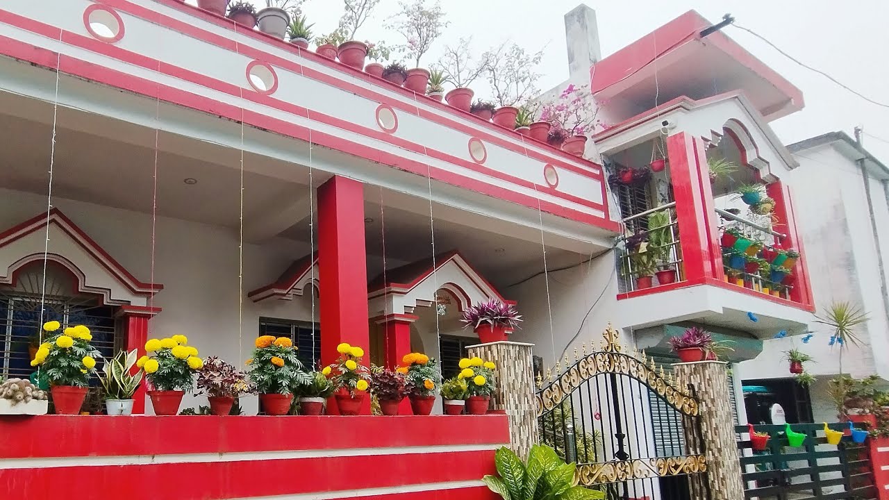 My winter garden update in January 2026 ||